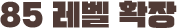 85 레벨 확장