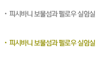 피씨바니 보물섬과 펠로우 실험실